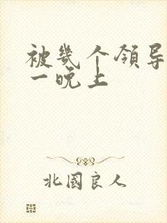 被几个领导玩弄一晚上