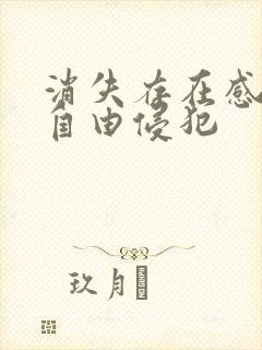 消失存在感消失自由侵犯