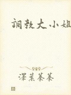 调教大小姐