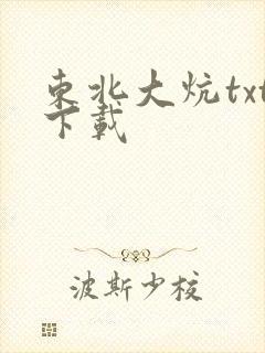 东北大炕txt下载封面