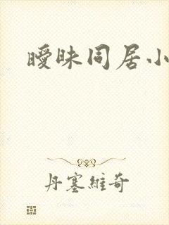 暧昧同居小说封面