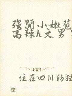 强开小嫩苞h文高辣h文男男