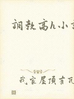 调教高h小说
