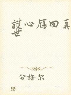 护心雁回真实身世封面
