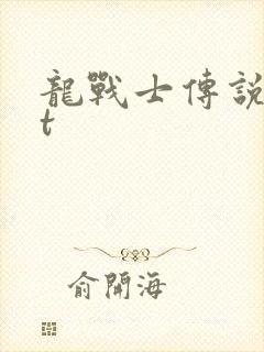 龙战士传说txt