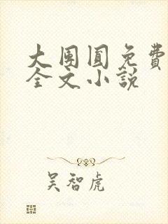 大团圆免费阅读全文小说封面