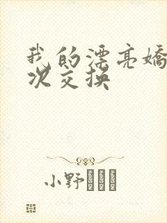 我的漂亮娇妻初次交换