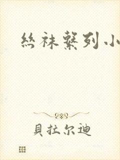 丝袜系列小说