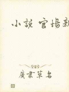 小说 官场新贵