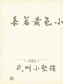 长篇黄色小说
