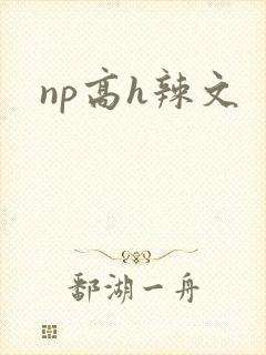np高h辣文