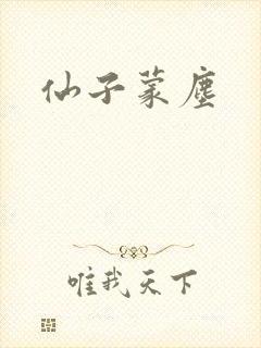 仙子蒙尘封面