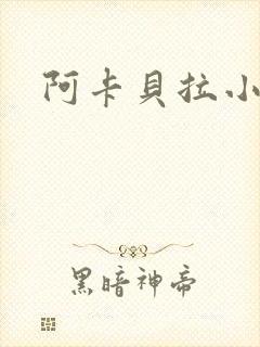 阿卡贝拉小说