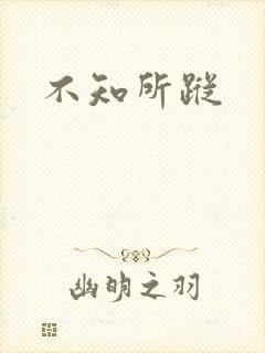 不知所踪封面