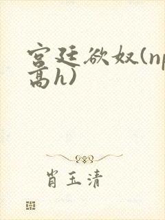宫廷欲奴(np高h)