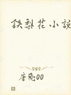 铁梨花小说封面