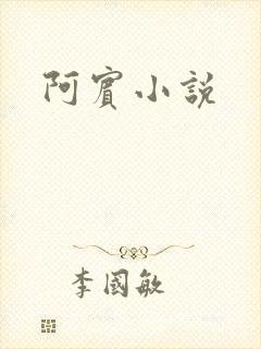 阿宾小说