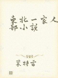 东北一家人第一部小说封面