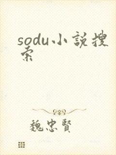 sodu小说搜索