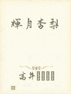 辉月杏梨封面