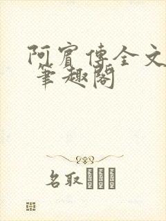 阿宾传全文阅读 笔趣阁