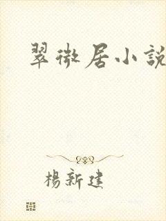 翠微居小说