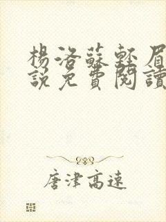 杨洛苏轻眉笔小说免费阅读封面