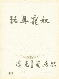 玩具宠奴封面