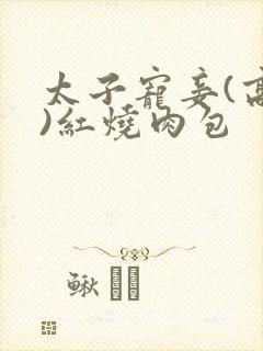 太子宠妾(高肉)红烧肉包