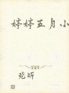 婷婷五月小说封面