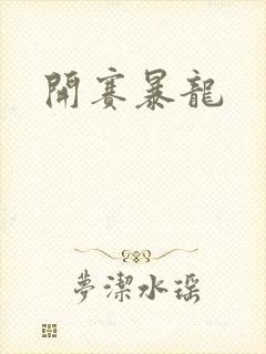 开赛暴龙