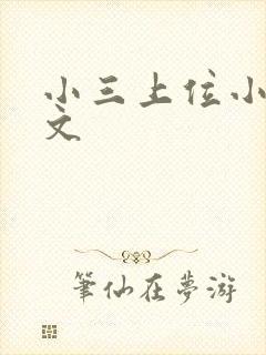 小三上位小说全文封面
