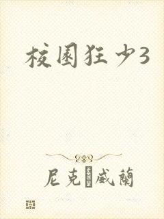 校园狂少3