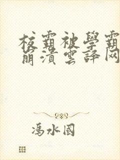 校霸被学霸玩到崩溃云译网