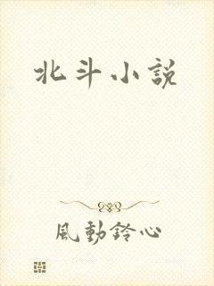 北斗小说