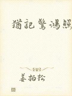 犹记惊鸿照影
