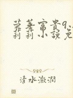 荣华富贵9小王莉莉小说免费阅读