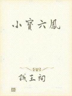 小宝六凤