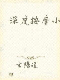 深度按摩小说