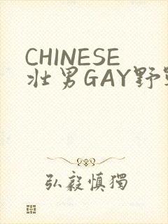 CHINESE壮男GAY野战强迫TUBE封面