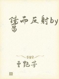 镜面反射by九葛