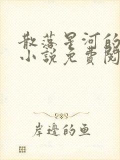 散落星河的记忆小说免费阅读全文