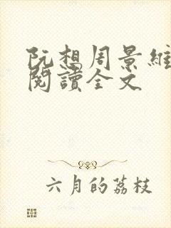 阮想周景维免费阅读全文