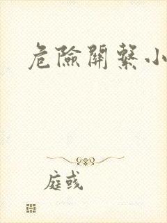 危险关系小说