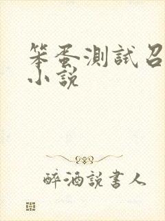 笨蛋测试召唤兽小说