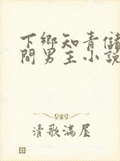 下乡知青储物空间男主小说封面