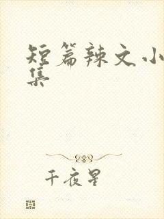 短篇辣文小说合集