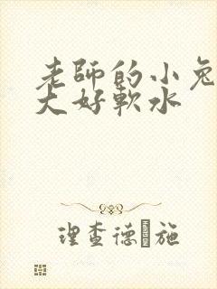 老师的小兔子好大好软水封面