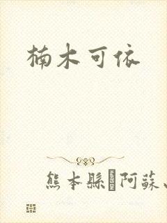 楠木可依封面