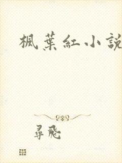 枫叶红小说封面